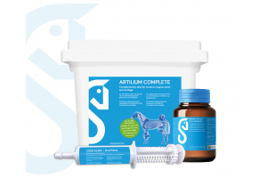 Grovet's supplements to support the management of (sport) horses