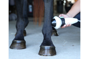 Hoogenergetische, gerichte shock wave-technologie met PulseVet