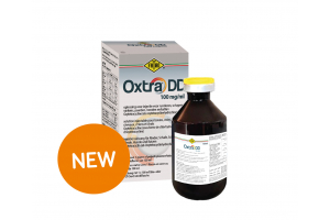 Oxtra DD, the only registered oxytetracycline for horses in Belgium and the Netherlands! 