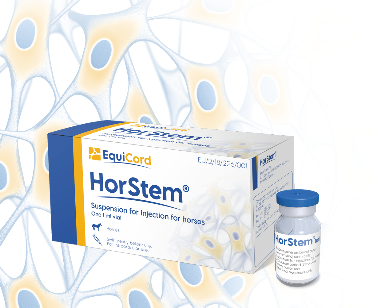 Stem cell therapy in horses with HorStem