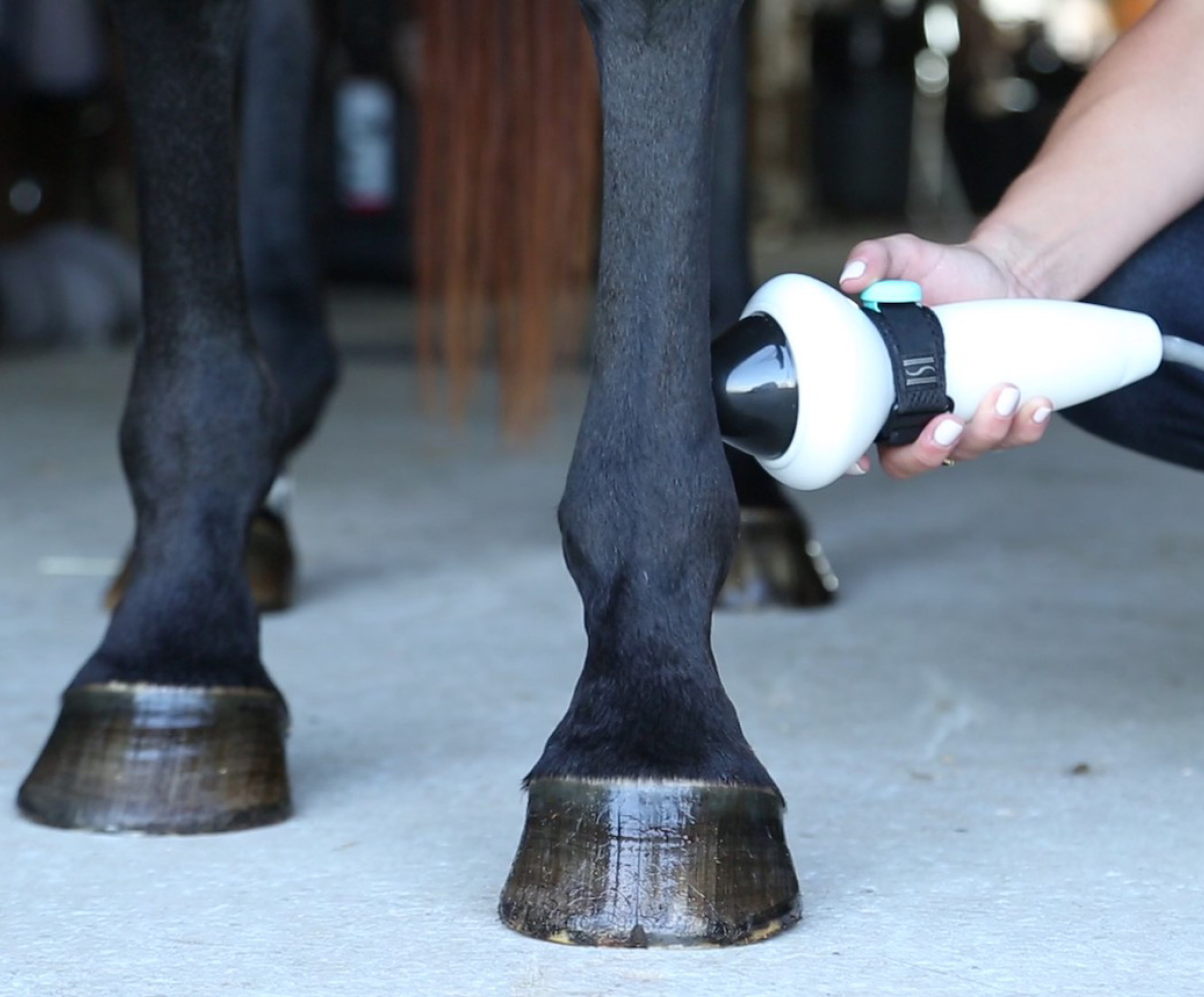 Hoogenergetische, gerichte shock wave-technologie met PulseVet