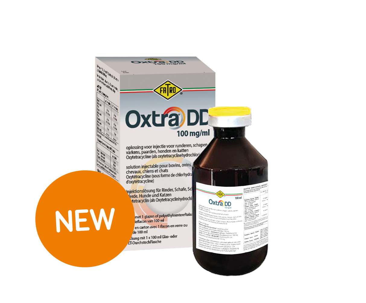 Oxtra DD, the only registered oxytetracycline for horses in Belgium and the Netherlands! 